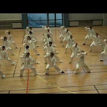 Demo IRAP au festival national de wushu : partie 1